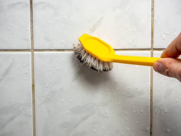 Best Bathroom Mold Remediation in Bremen, IN