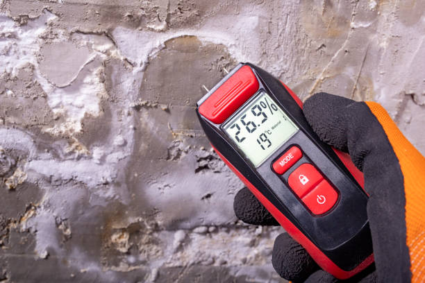 Best HVAC Mold Remediation in Bremen, IN