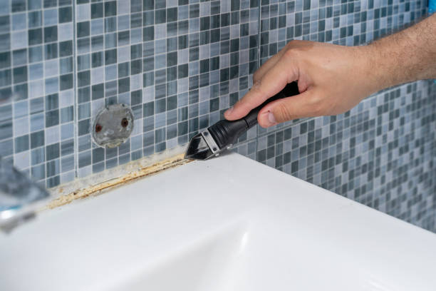 Best Mold Remediation for Specific Building Types in Bremen, IN